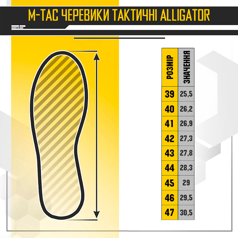 Розмірна сітка